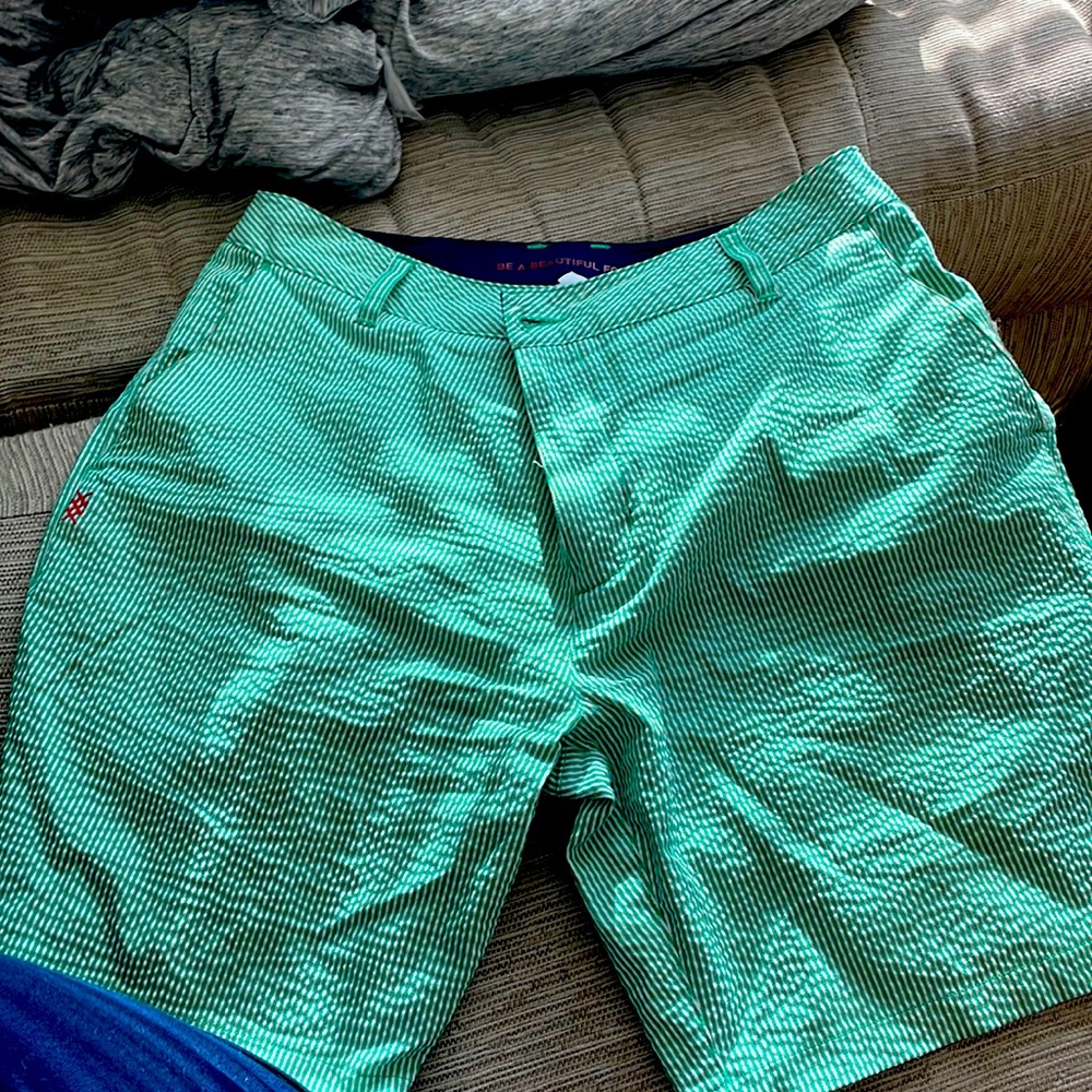 Rhone Stripe Casual Hybrid Shorts Size 33 Men’s Green and white striped